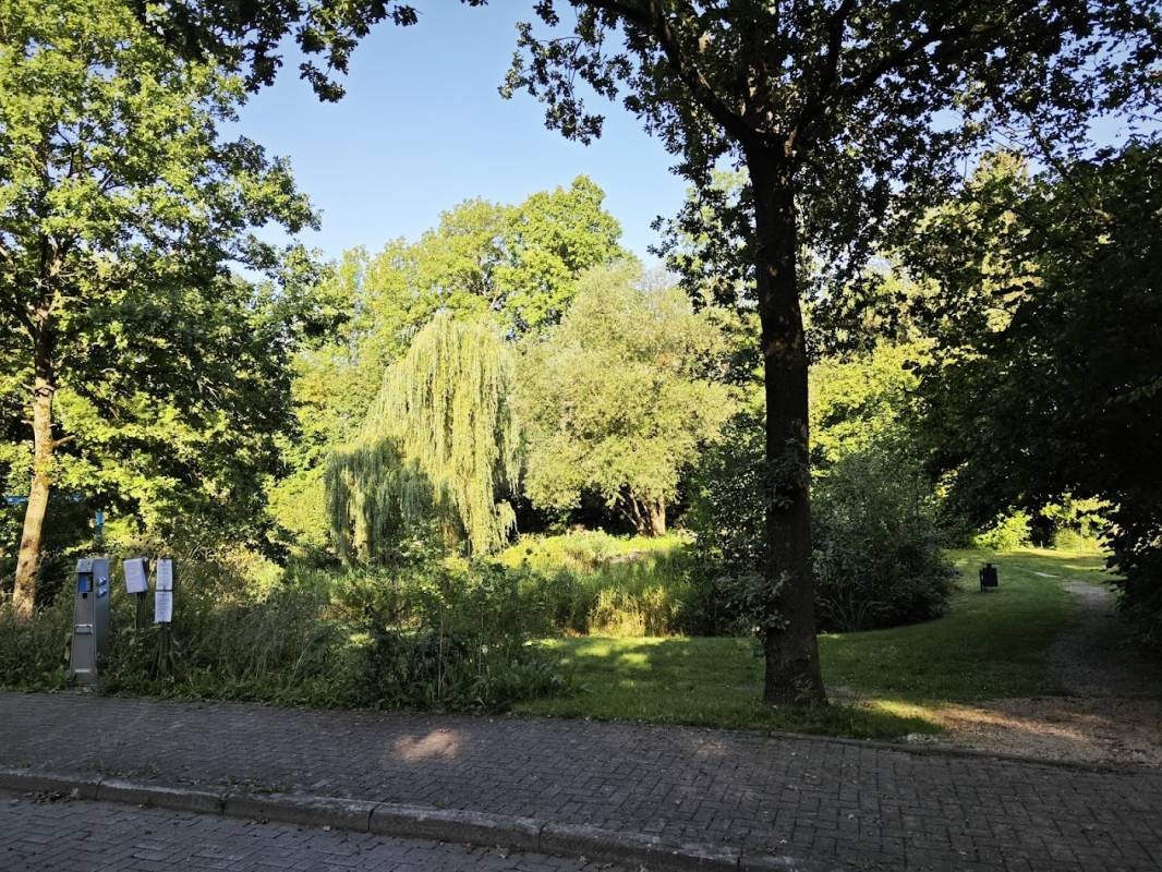 Wohnmobilstellplatz Wolfshagen im Harz — Bobilplass in Langelsheim