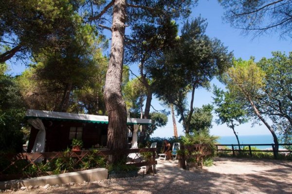 Camping Centro Turistico Belvedere — Photo 3