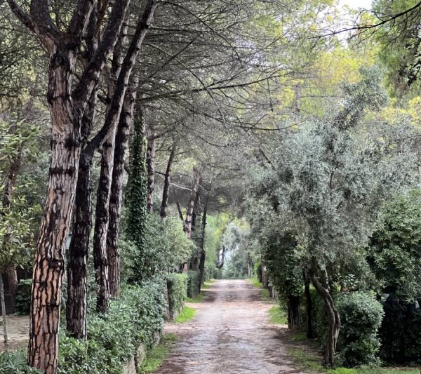 Camping Centro Turistico Belvedere