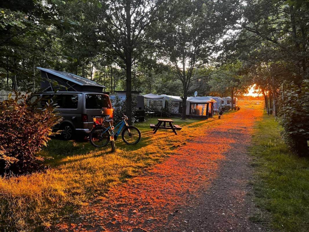 Camping De Beerte — Місце для кемпінгу in Beerta