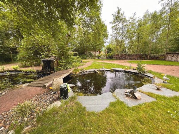 Camping De Beerte — Photo 4