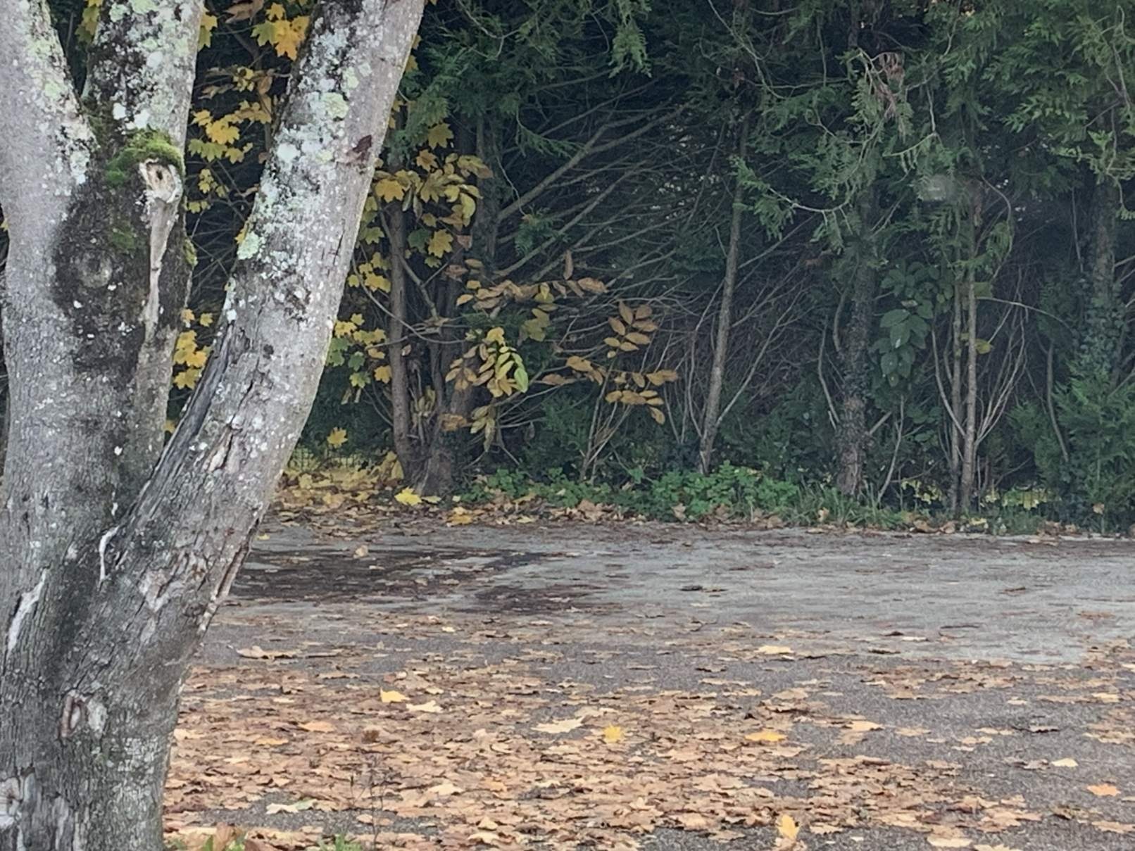 Stellplatz Azay-sur-Cher — Campervan Site in Azay-sur-Cher