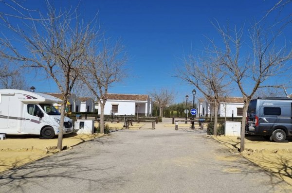 Camping El Nogalejo — Photo 6