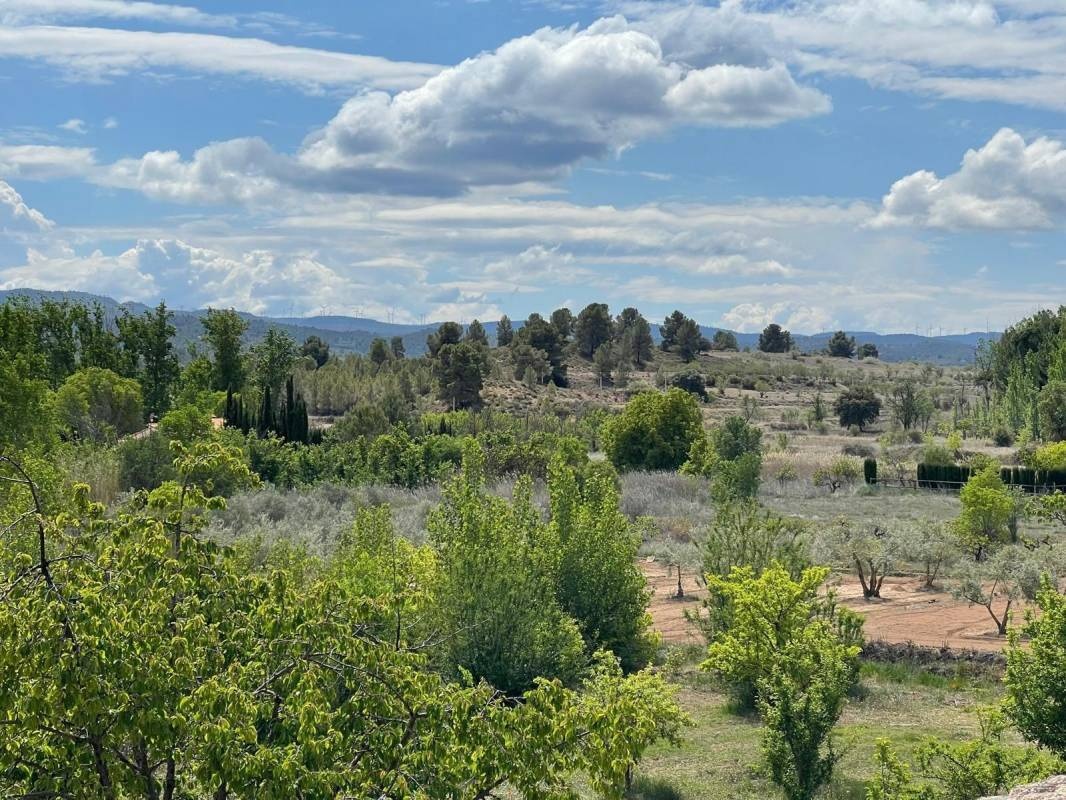 Alojamiento Rural Palaz — Campingplatz in Teresa de Cofrentes
