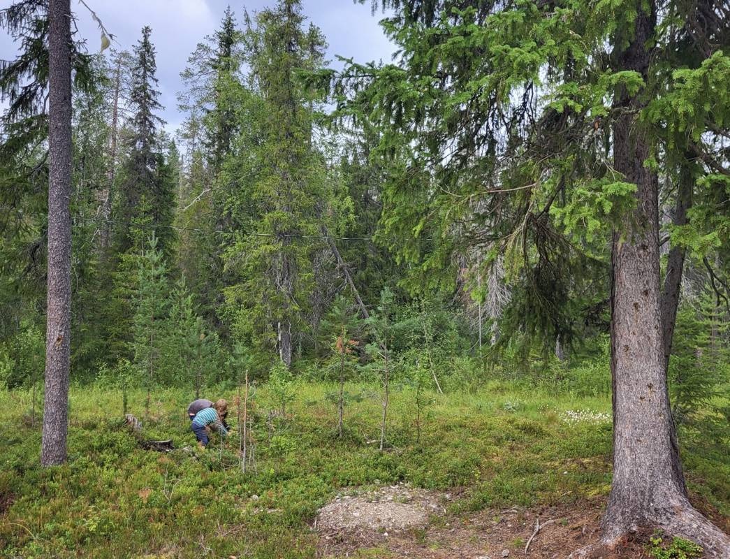 Syöte Experience OySyöte Camping — Karavan Sitesi in Syöte