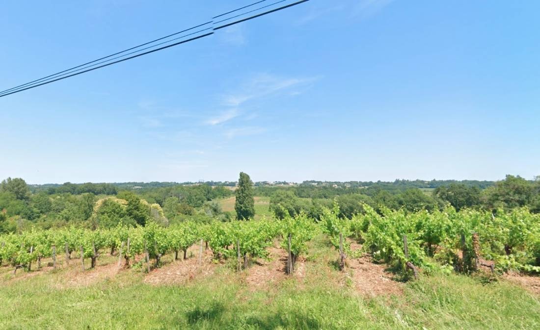 Vignobles Guillaume Bergeon — Winery in Villegouge