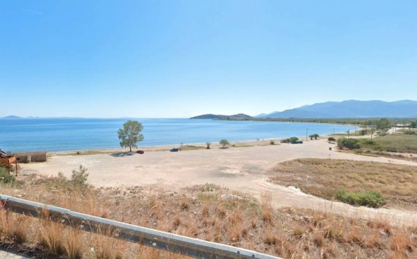 Paliochano Beach — Photo 2