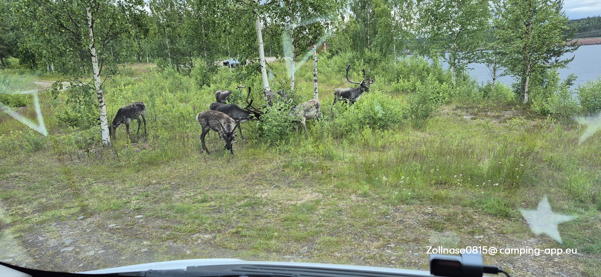 Muddusvägen — Foto 6