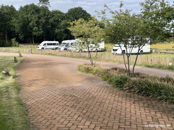 Buikheidehuys — Photo 5