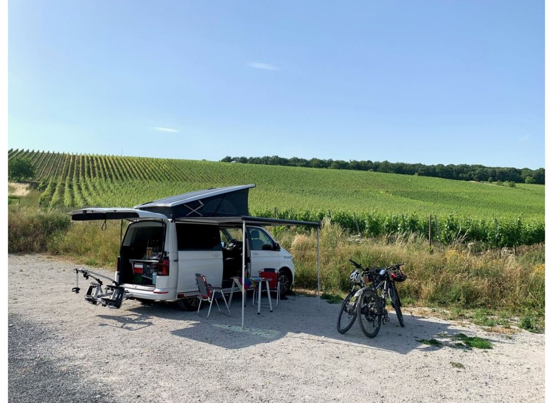 Weinparadies & HUNDERTWASSER-Artikel — Winery in Eisenheim