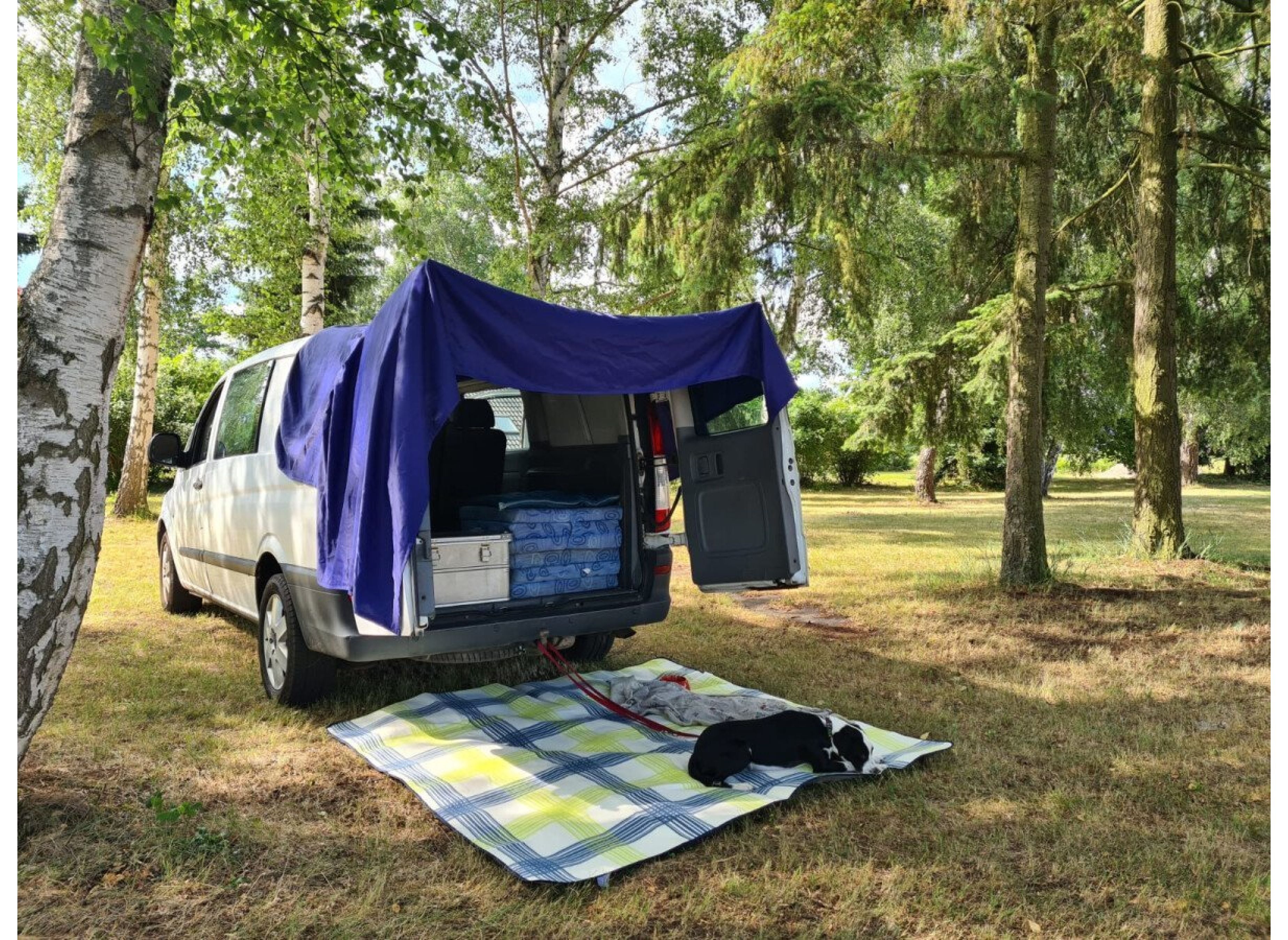 Schöner Wiesenstellplatz in Haßloch Süd — Campervan Site in Haßloch