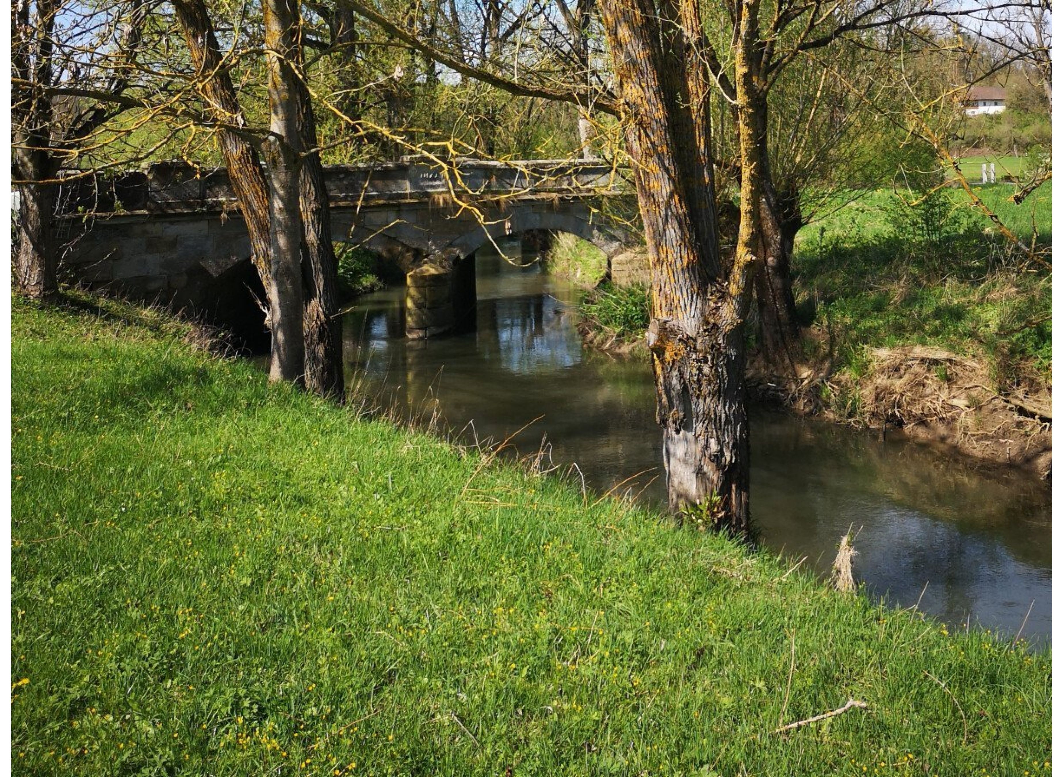 Einzelplatz: Wiese direkt am Fluss — Stellplatz in Bad Rodach