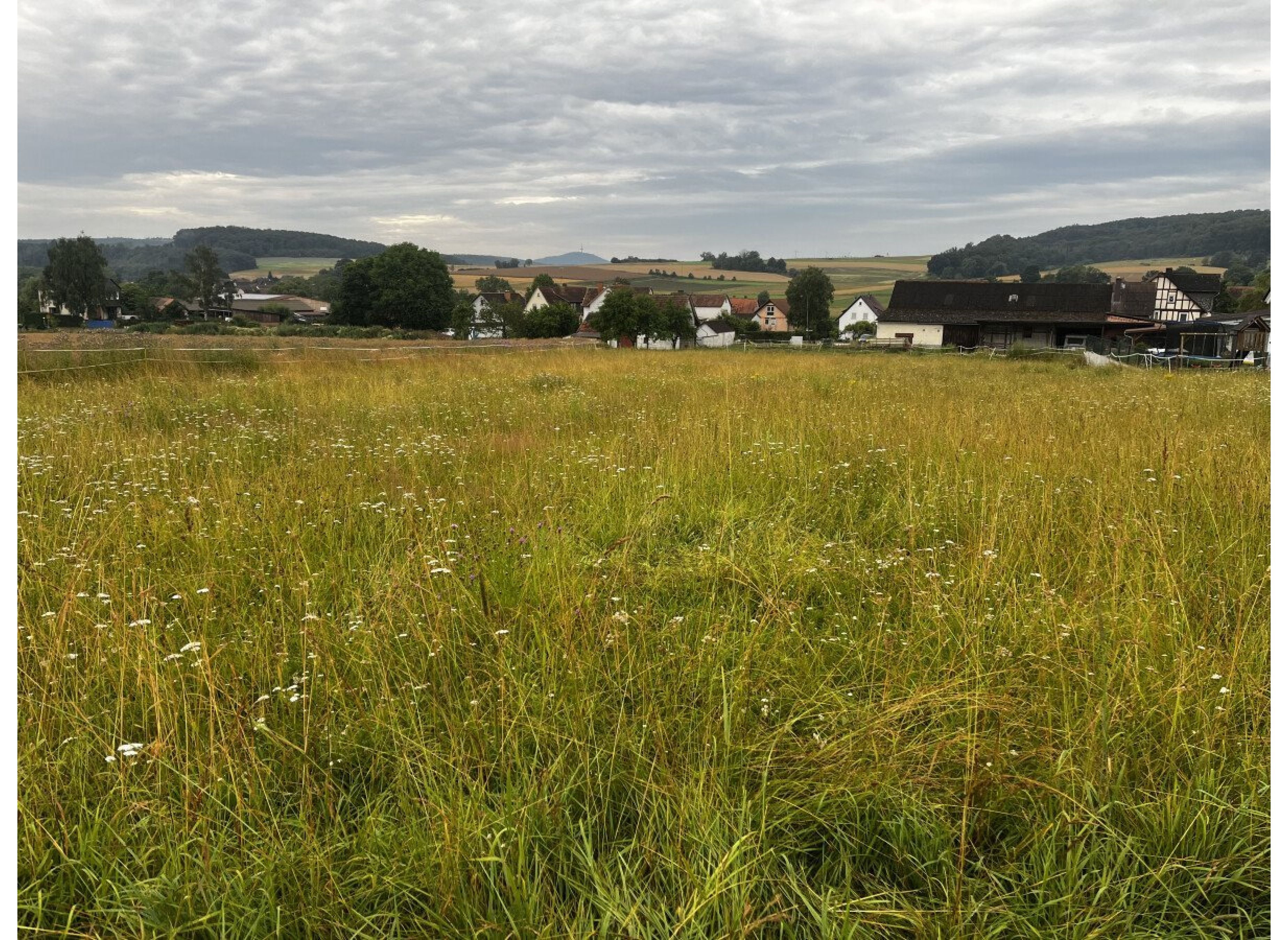 Stellplatz am Dorfrand — Camperplaats in Lohra