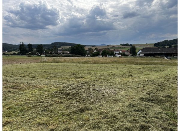 Stellplatz am Dorfrand — Photo 3