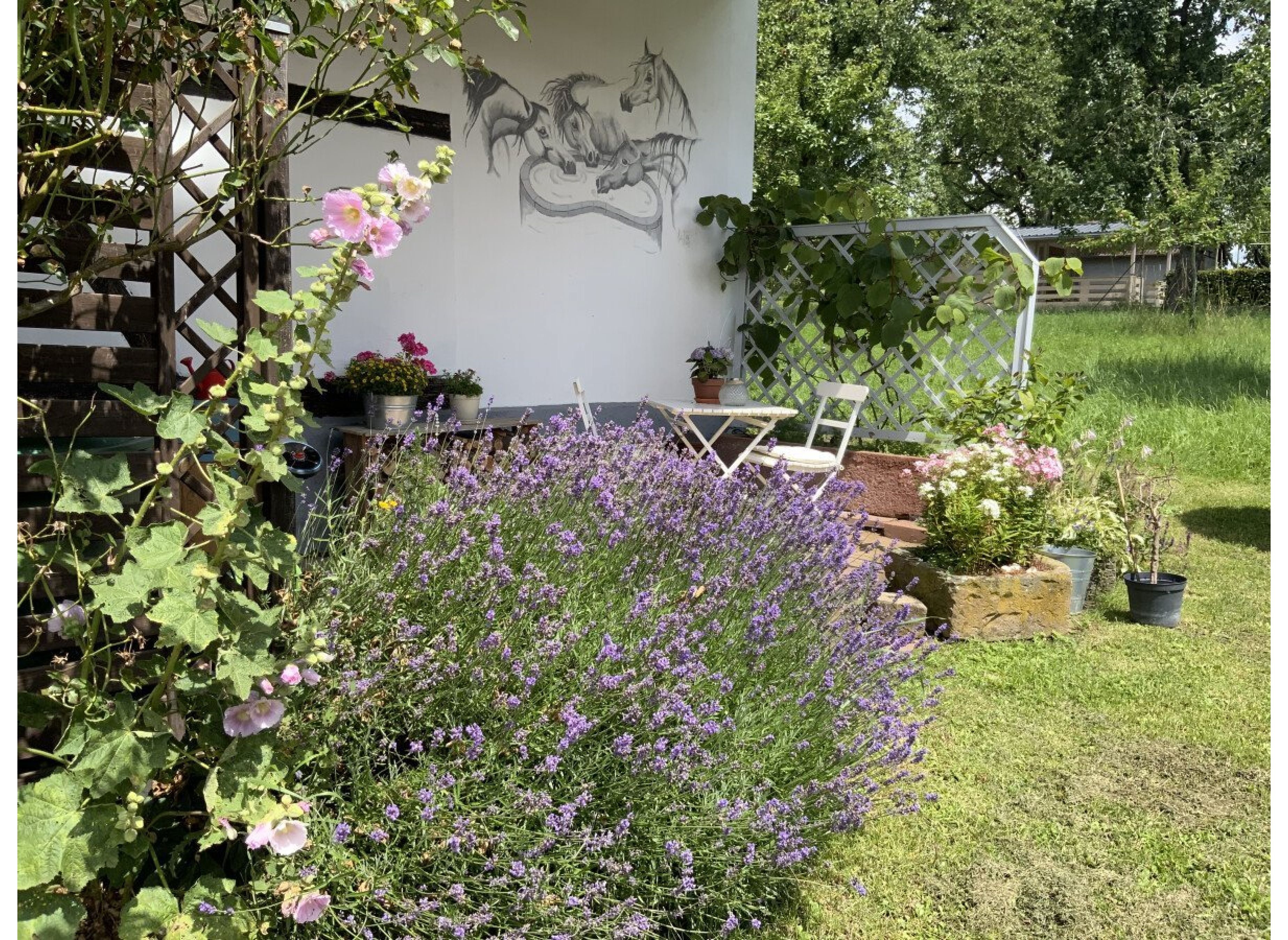 Einzelstellplatz an der Streuobstwiese — 露营车营地 in Ahorn