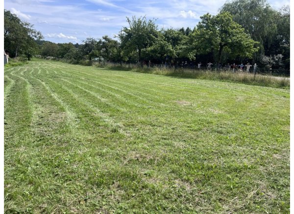 Idyllisches Camping in Höhenberg – Natur pur in der Oberpfalz — Photo 2