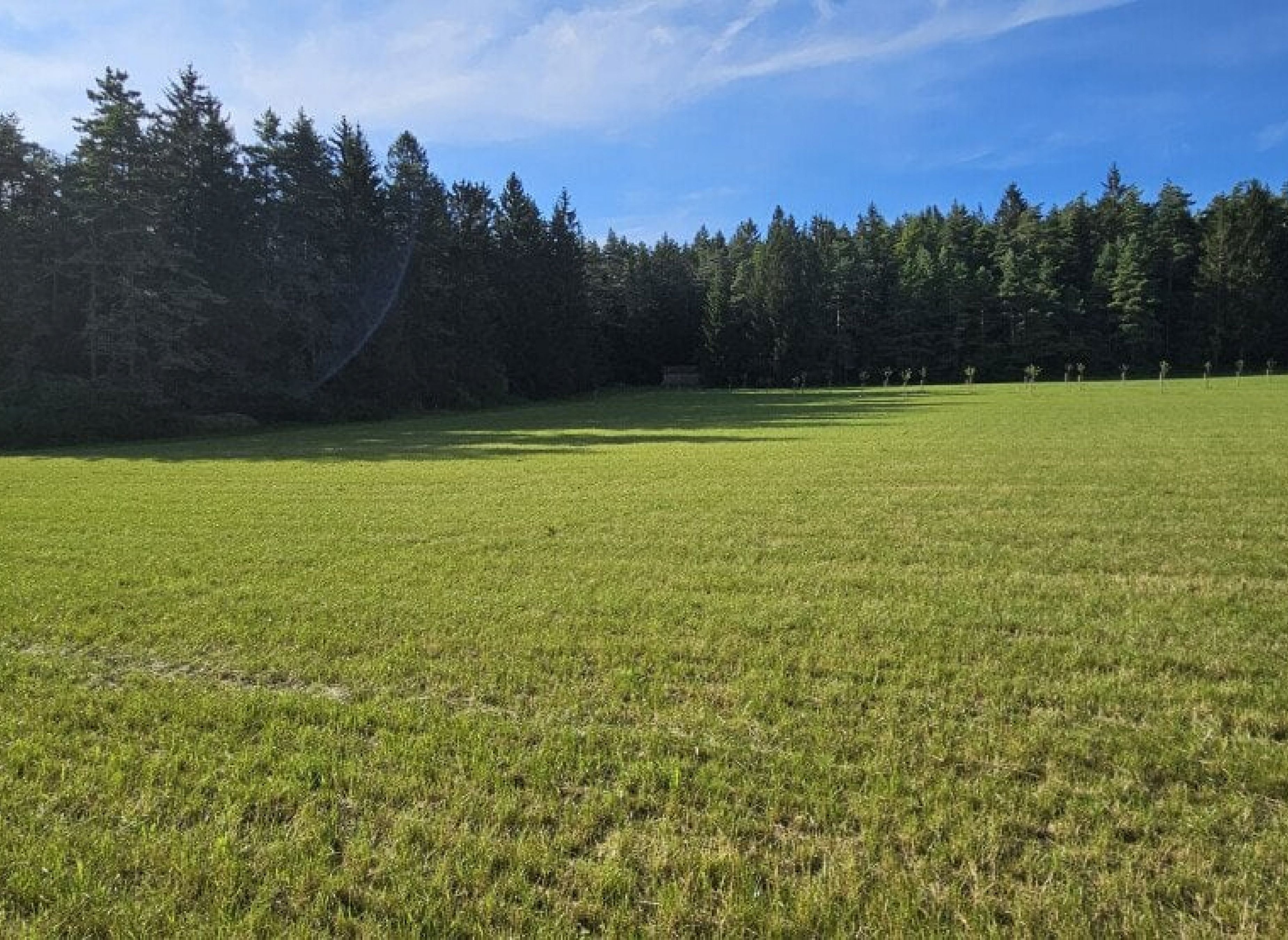 Streuobstwiese am Birkenfels - Zauberwald- Orchideen-Weg — Sp. parking dla kamperów in Birgland