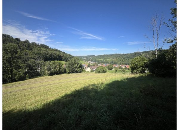 Waldlage — Photo 3