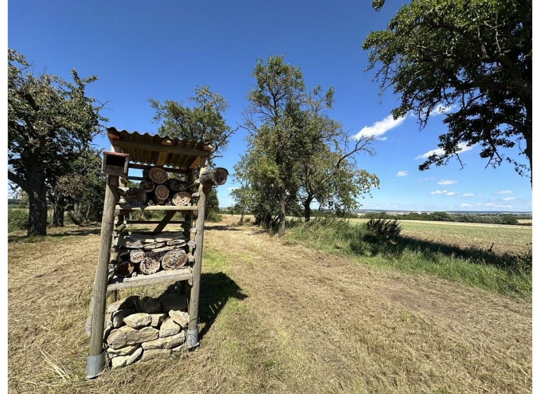 Weit ab vom Schuss auf der Streuobstwiese — Sítio para autocaravanas in Ebeleben