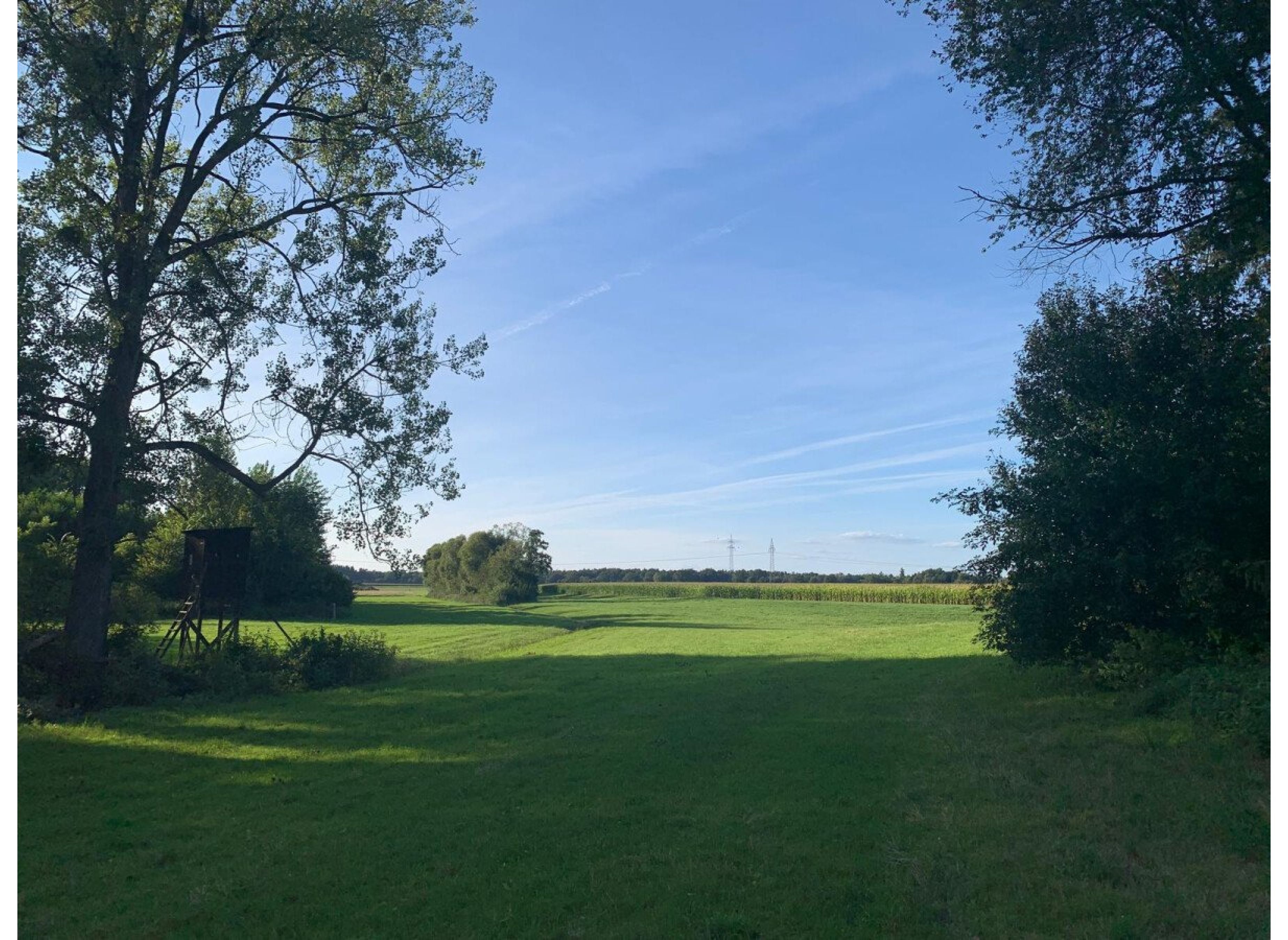 Wiese mit Wassergraben — Stellplatz in Ingolstadt
