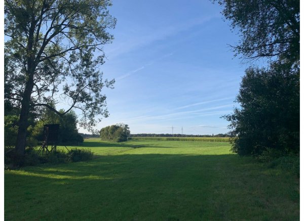 Wiese mit Wassergraben