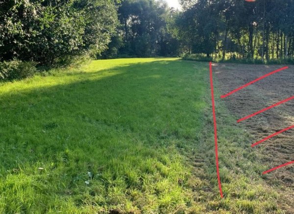 Wiese mit Wassergraben — Photo 2