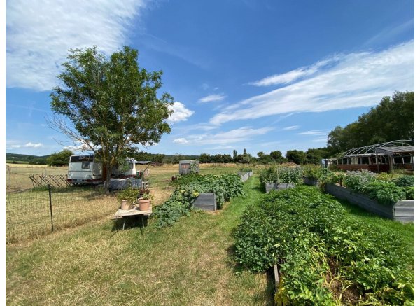 Naturcamping im wunderschönen Elstertal — Photo 2