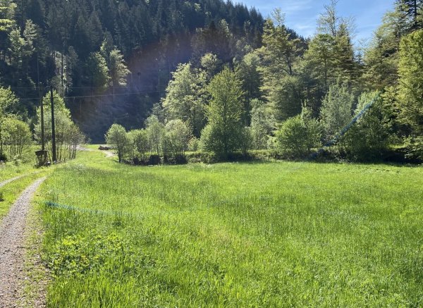 Heumatte — Photo 2