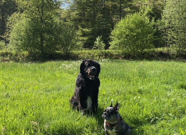 Heumatte — Photo 3