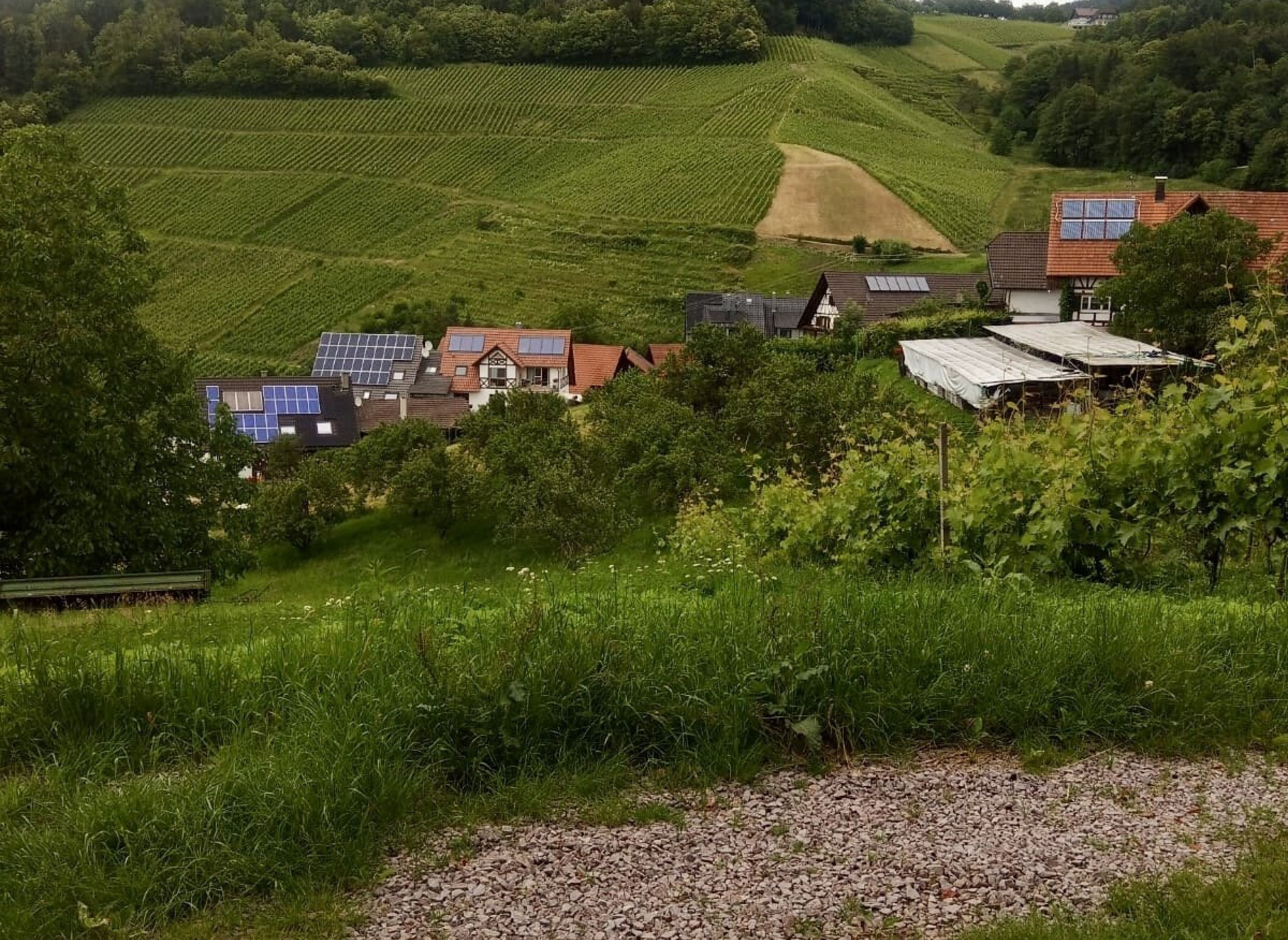 Einzelstellplatz Rheintalblick — Winery in Kappelrodeck