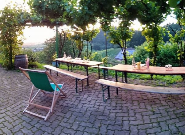 Einzelstellplatz Rheintalblick — Photo 3