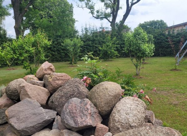 Grüne Freiheit am Tore der Insel Usedom — Photo 2