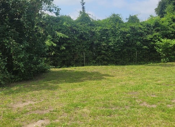 Grüne Freiheit am Tore der Insel Usedom — Photo 3