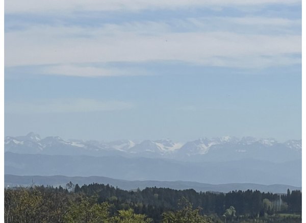 Il Paradiso im Obstgarten