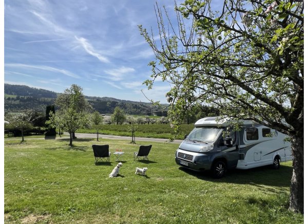 Il Paradiso im Obstgarten — Photo 2