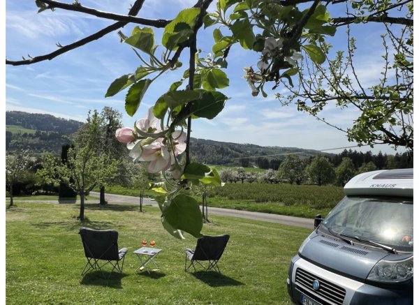 Il Paradiso im Obstgarten — Photo 3