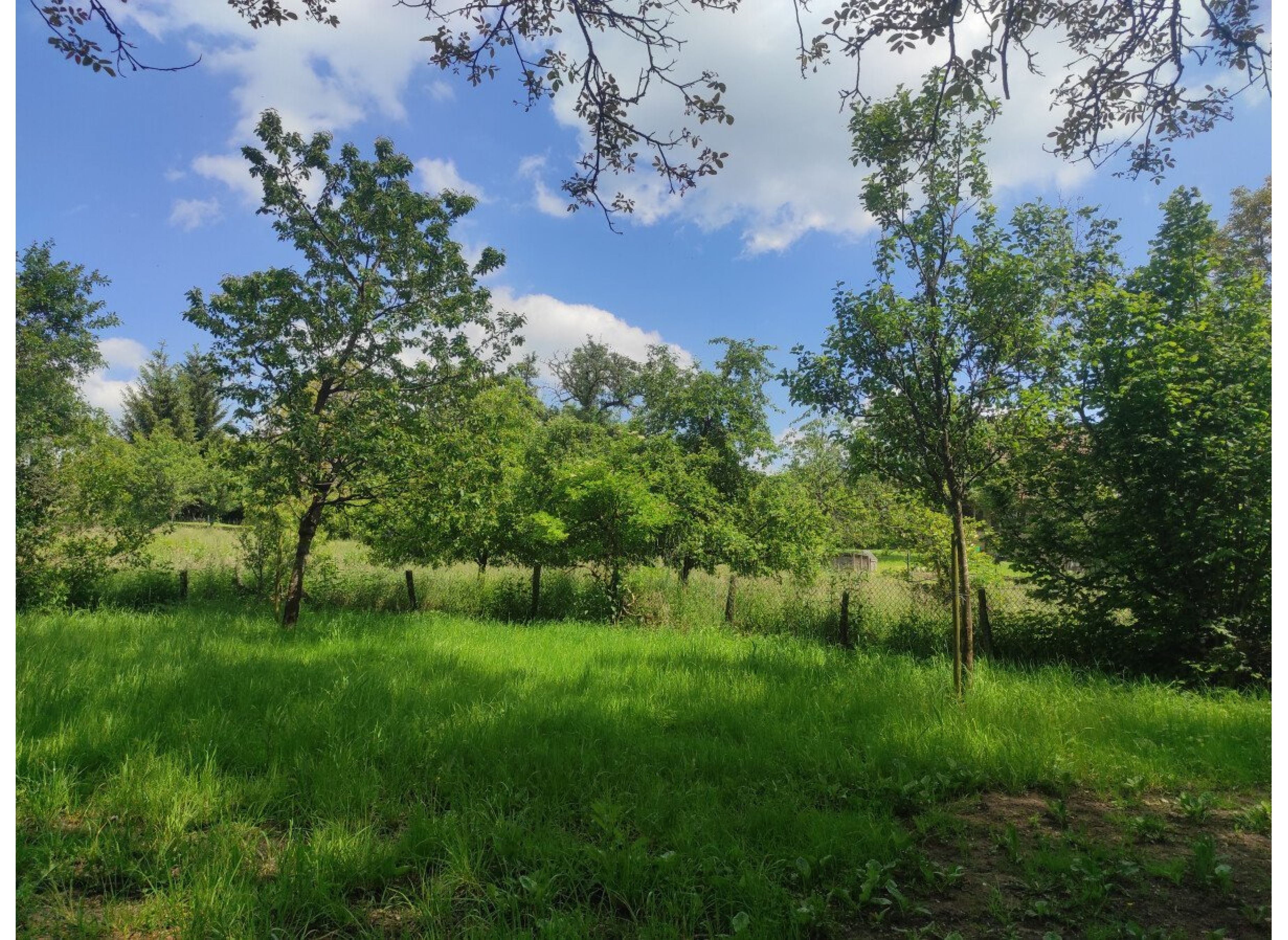 Einzelplatz im Grünen mind. 1 Tag im Voraus buchen!!! — Ställplats in Eckersweiler