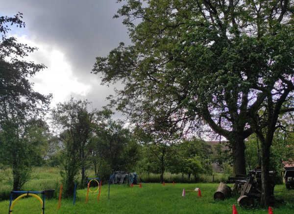 Einzelplatz im Grünen mind. 1 Tag im Voraus buchen!!! — Photo 2