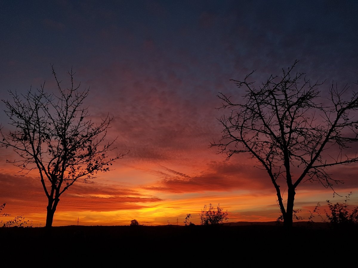 Ferienpark Neuenhainer See Neuental — 快速停止 in Neuental