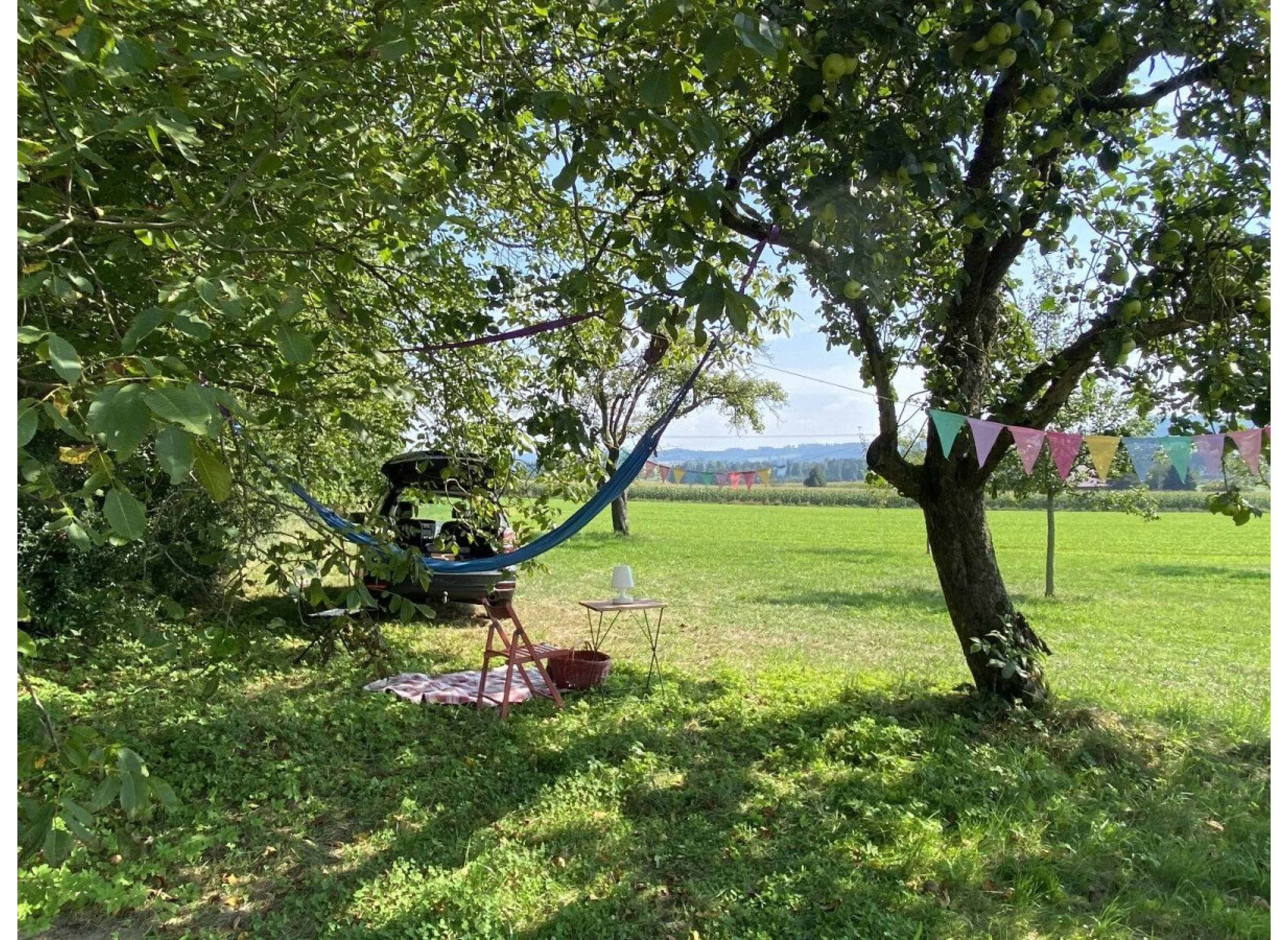 Einzelplatz: Campen unterm Nussbaum — 露营车营地 in Unterwaldhausen