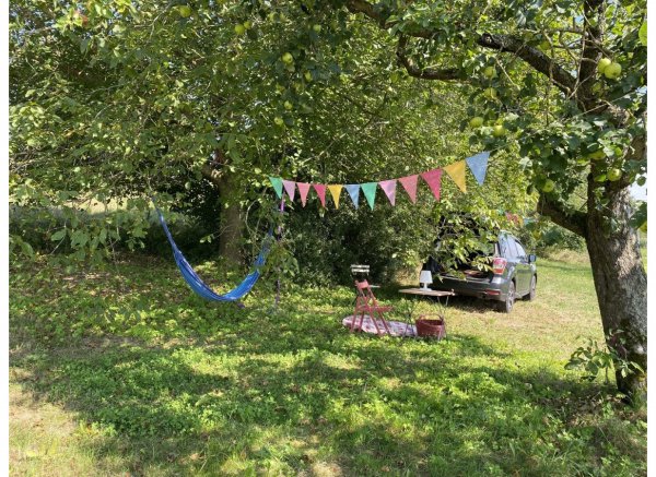 Einzelplatz: Campen unterm Nussbaum — Photo 2