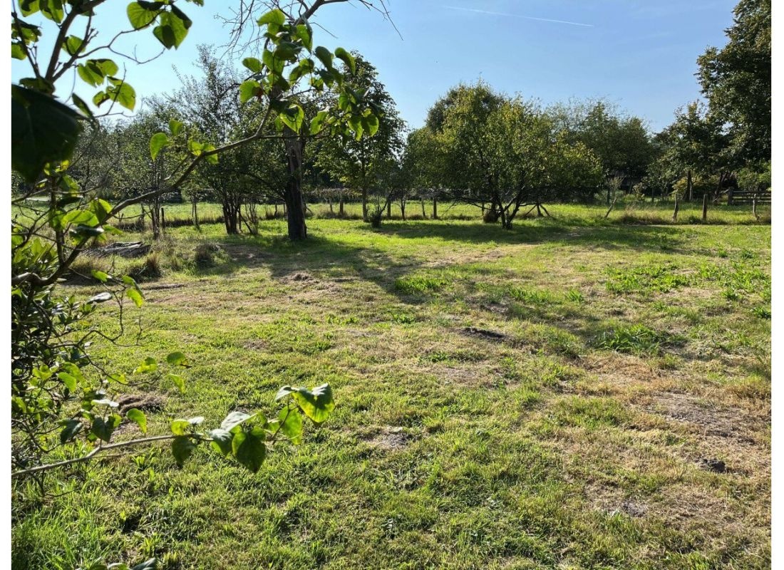 Fintauwiese hinter dem Haus mit dem Storch in der Nachbarschaft — Stellplatz in Lauenbrück