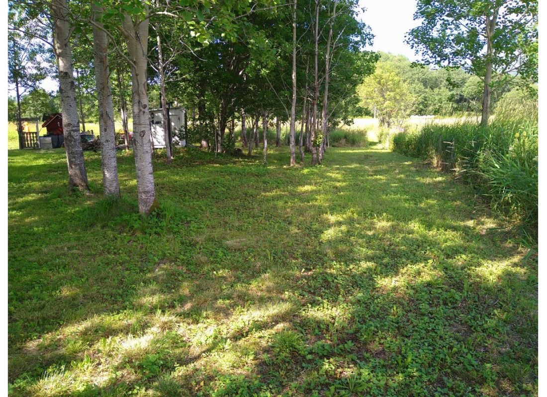 Borgtun — Campervan Site in Husby