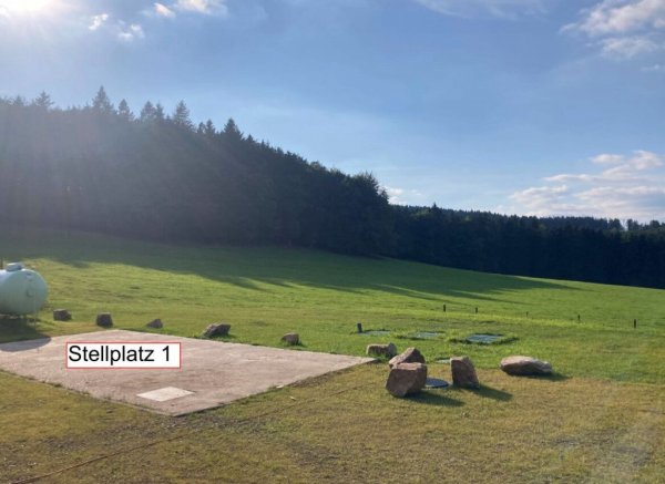 wald-bucht zauber platz besonders schön — Photo 2