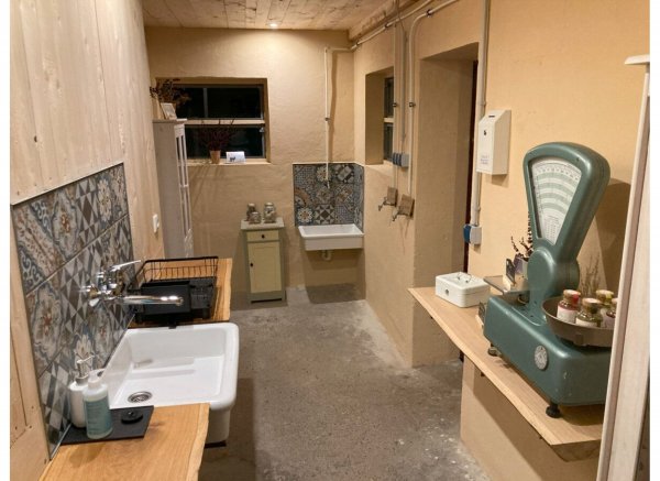 wald-bucht zauber platz besonders schön — Photo 3