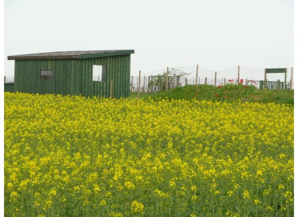 Stellplatz für Camper in idyllischer Lage – Perfekt für Natur- und Hundeliebhaber!