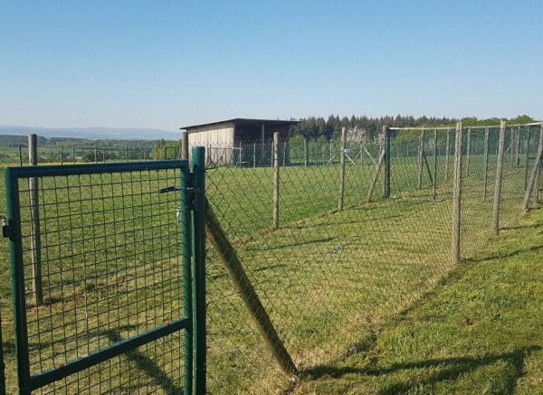 Stellplatz für Camper in idyllischer Lage – Perfekt für Natur- und Hundeliebhaber! — Photo 3