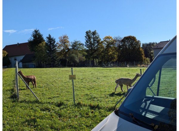 Zwischen Wiesen, Wälder und Alpakas — Photo 2