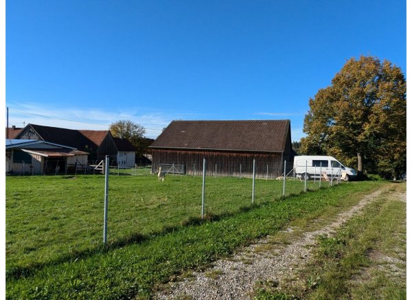 Zwischen Wiesen, Wälder und Alpakas — Photo 3