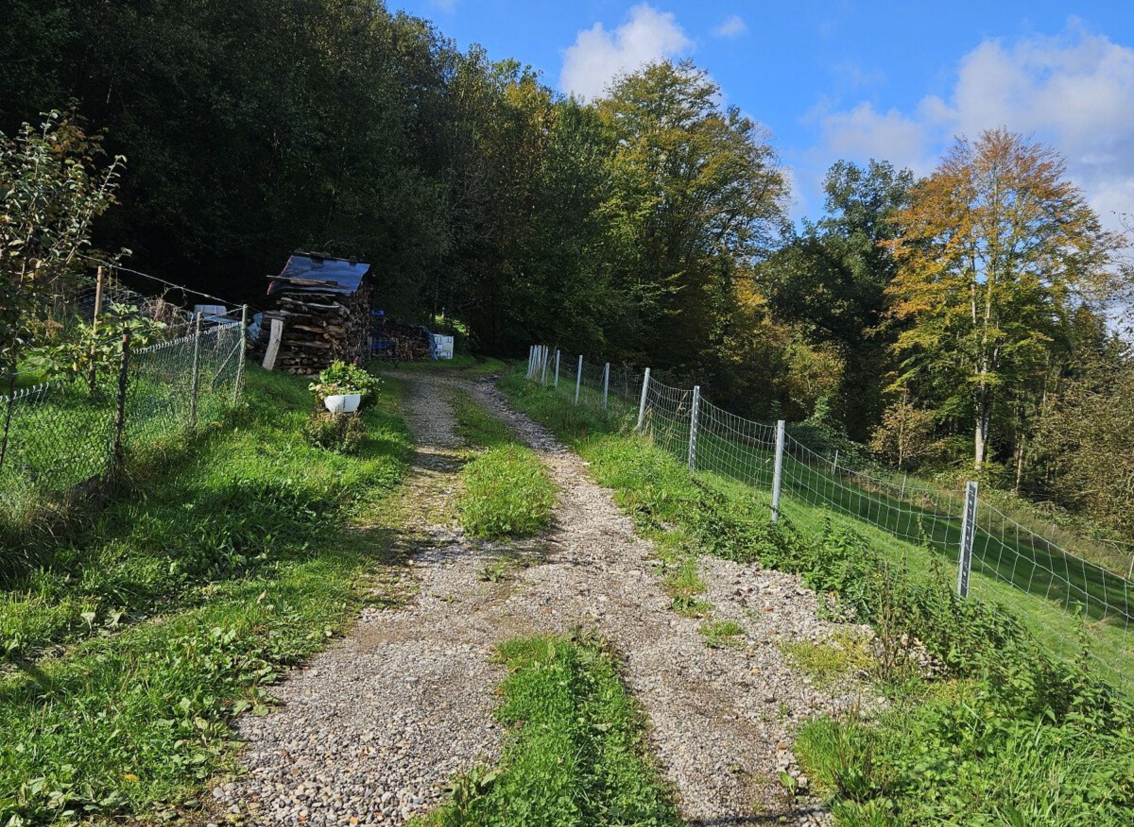 Stellplatz zwischen Holz Wald und Wiese — Campervan Site in Rheinfelden